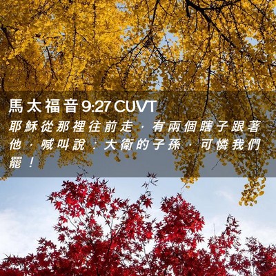 Picture 02 - 馬 太 福 音 9:27 CUVT - 耶 穌 從 那 裡 往 前 走 ， 有 兩 個 - Bible Verse Picture