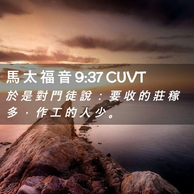 Picture 02 - 馬 太 福 音 9:37 CUVT - 於 是 對 門 徒 說 ： 要 收 的 莊 稼 - Bible Verse Picture