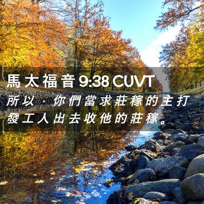 Picture 02 - 馬 太 福 音 9:38 CUVT - 所 以 ， 你 們 當 求 莊 稼 的 主 打 - Bible Verse Picture