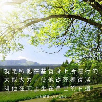 Picture 03 - 以 弗 所 書 1:20 CUVT - 就 是 照 他 在 基 督 身 上 所 運 行 - Bible Verse Picture