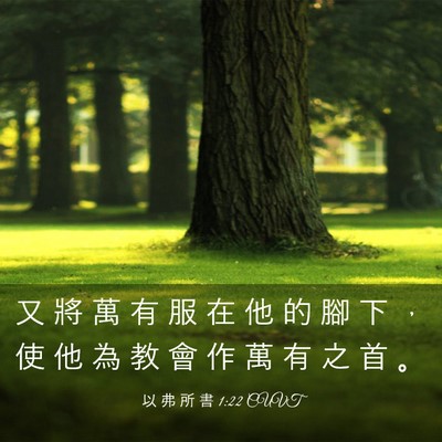 Picture 03 - 以 弗 所 書 1:22 CUVT - 又 將 萬 有 服 在 他 的 腳 下 ， 使 - Bible Verse Picture