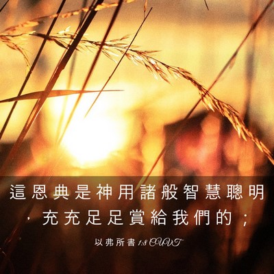Picture 03 - 以 弗 所 書 1:8 CUVT - 這 恩 典 是 神 用 諸 般 智 慧 聰 明 - Bible Verse Picture