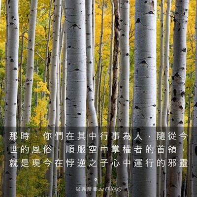 Picture 03 - 以 弗 所 書 2:2 CUVT - 那 時 ， 你 們 在 其 中 行 事 為 人 - Bible Verse Picture