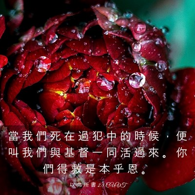 Picture 03 - 以 弗 所 書 2:5 CUVT - 當 我 們 死 在 過 犯 中 的 時 候 ， - Bible Verse Picture