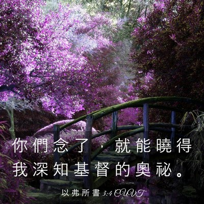 Picture 03 - 以 弗 所 書 3:4 CUVT - 你 們 念 了 ， 就 能 曉 得 我 深 知 - Bible Verse Picture