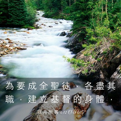 Picture 03 - 以 弗 所 書 4:12 CUVT - 為 要 成 全 聖 徒 ， 各 盡 其 職 ， - Bible Verse Picture