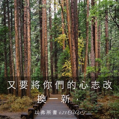 Picture 03 - 以 弗 所 書 4:23 CUVT - 又 要 將 你 們 的 心 志 改 換 一 新 - Bible Verse Picture