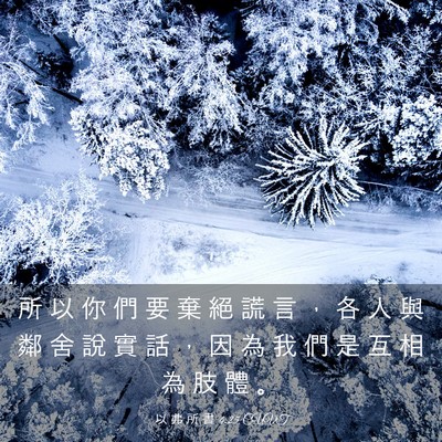 Picture 03 - 以 弗 所 書 4:25 CUVT - 所 以 你 們 要 棄 絕 謊 言 ， 各 人 - Bible Verse Picture
