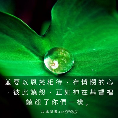 Picture 03 - 以 弗 所 書 4:32 CUVT - 並 要 以 恩 慈 相 待 ， 存 憐 憫 的 - Bible Verse Picture