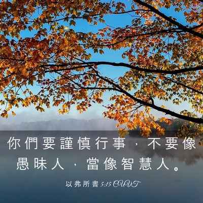 Picture 03 - 以 弗 所 書 5:15 CUVT - 你 們 要 謹 慎 行 事 ， 不 要 像 愚 - Bible Verse Picture