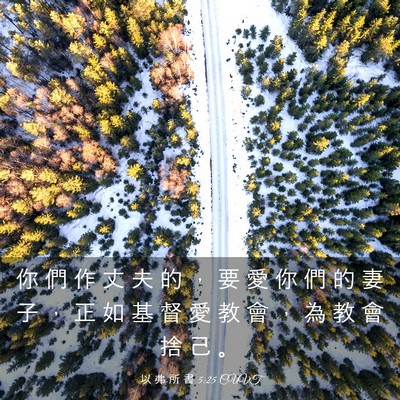 Picture 03 - 以 弗 所 書 5:25 CUVT - 你 們 作 丈 夫 的 ， 要 愛 你 們 的 - Bible Verse Picture