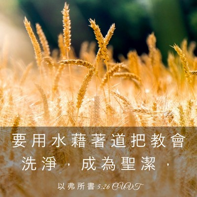 Picture 03 - 以 弗 所 書 5:26 CUVT - 要 用 水 藉 著 道 把 教 會 洗 淨 ， - Bible Verse Picture