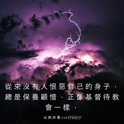 Picture 03 - 以 弗 所 書 5:29 CUVT - 從 來 沒 有 人 恨 惡 自 己 的 身 子 - Bible Verse Picture