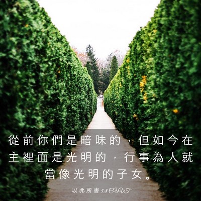Picture 03 - 以 弗 所 書 5:8 CUVT - 從 前 你 們 是 暗 昧 的 ， 但 如 今 - Bible Verse Picture