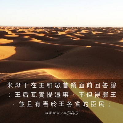 Picture 03 - 以 斯 帖 記 1:16 CUVT - 米 母 干 在 王 和 眾 首 領 面 前 回 - Bible Verse Picture