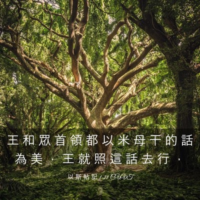 Picture 03 - 以 斯 帖 記 1:21 CUVT - 王 和 眾 首 領 都 以 米 母 干 的 話 - Bible Verse Picture