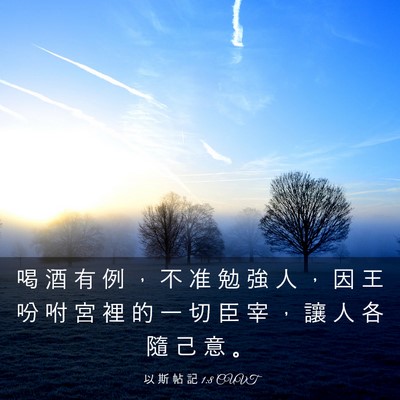 Picture 03 - 以 斯 帖 記 1:8 CUVT - 喝 酒 有 例 ， 不 准 勉 強 人 ， 因 - Bible Verse Picture