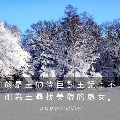 Picture 03 - 以 斯 帖 記 2:2 CUVT - 於 是 王 的 侍 臣 對 王 說 ： 不 如 - Bible Verse Picture