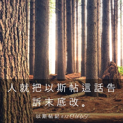 Picture 03 - 以 斯 帖 記 4:12 CUVT - 人 就 把 以 斯 帖 這 話 告 訴 末 底 - Bible Verse Picture