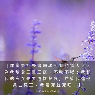Picture 03 - 以 斯 帖 記 4:16 CUVT - 「 你 當 去 招 聚 書 珊 城 所 有 的 - Bible Verse Picture