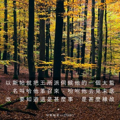 Picture 03 - 以 斯 帖 記 4:5 CUVT - 以 斯 帖 就 把 王 所 派 伺 候 他 的 - Bible Verse Picture