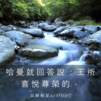 Picture 03 - 以 斯 帖 記 6:7 CUVT - 哈 曼 就 回 答 說 ： 王 所 喜 悅 尊 - Bible Verse Picture