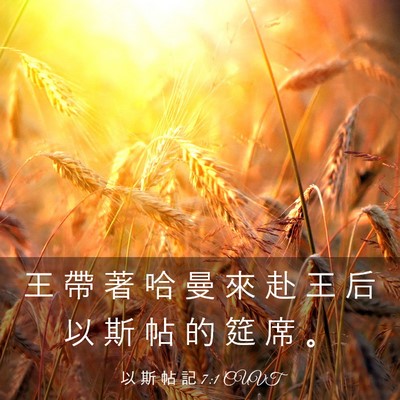 Picture 03 - 以 斯 帖 記 7:1 CUVT - 王 帶 著 哈 曼 來 赴 王 后 以 斯 帖 - Bible Verse Picture
