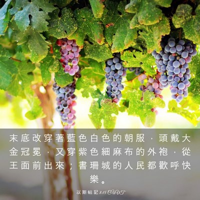 Picture 03 - 以 斯 帖 記 8:15 CUVT - 末 底 改 穿 著 藍 色 白 色 的 朝 服 - Bible Verse Picture