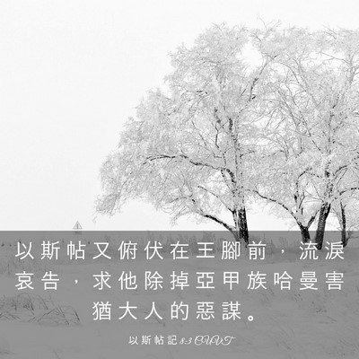 Picture 03 - 以 斯 帖 記 8:3 CUVT - 以 斯 帖 又 俯 伏 在 王 腳 前 ， 流 - Bible Verse Picture