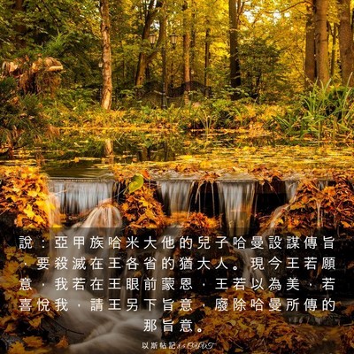 Picture 03 - 以 斯 帖 記 8:5 CUVT - 說 ： 亞 甲 族 哈 米 大 他 的 兒 子 - Bible Verse Picture