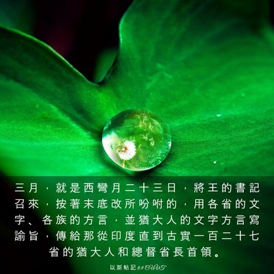 Picture 03 - 以 斯 帖 記 8:9 CUVT - 三 月 ， 就 是 西 彎 月 二 十 三 日 - Bible Verse Picture