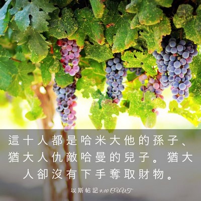 Picture 03 - 以 斯 帖 記 9:10 CUVT - 這 十 人 都 是 哈 米 大 他 的 孫 子 - Bible Verse Picture