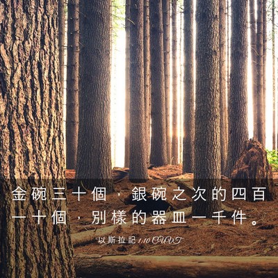 Picture 03 - 以 斯 拉 記 1:10 CUVT - 金 碗 三 十 個 ， 銀 碗 之 次 的 四 - Bible Verse Picture