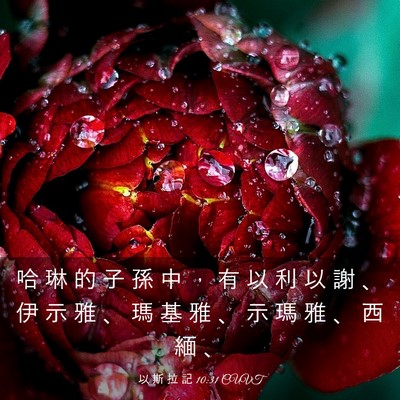 Picture 03 - 以 斯 拉 記 10:31 CUVT - 哈 琳 的 子 孫 中 ， 有 以 利 以 謝 - Bible Verse Picture