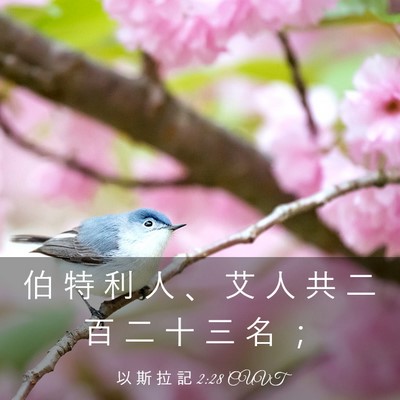Picture 03 - 以 斯 拉 記 2:28 CUVT - 伯 特 利 人 、 艾 人 共 二 百 二 十 - Bible Verse Picture