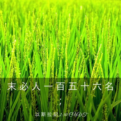 Picture 03 - 以 斯 拉 記 2:30 CUVT - 末 必 人 一 百 五 十 六 名 - Bible Verse Picture
