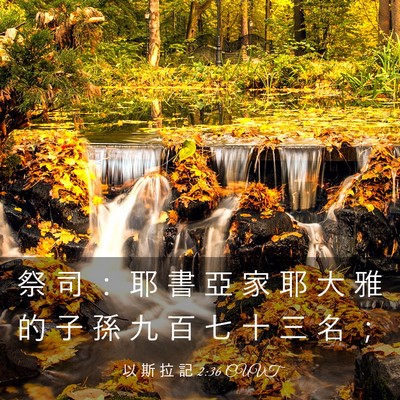Picture 03 - 以 斯 拉 記 2:36 CUVT - 祭 司 ： 耶 書 亞 家 耶 大 雅 的 子 - Bible Verse Picture