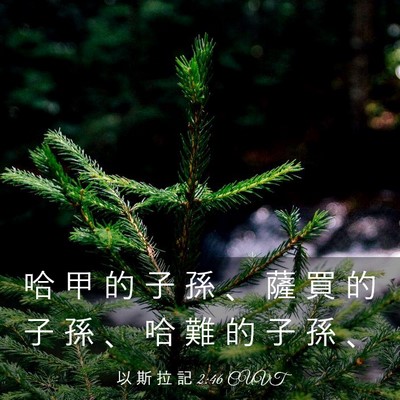 Picture 03 - 以 斯 拉 記 2:46 CUVT - 哈 甲 的 子 孫 、 薩 買 的 子 孫 、 - Bible Verse Picture