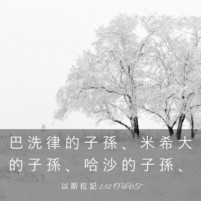 Picture 03 - 以 斯 拉 記 2:52 CUVT - 巴 洗 律 的 子 孫 、 米 希 大 的 子 - Bible Verse Picture