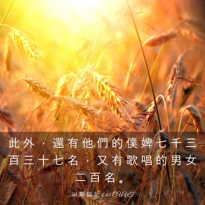 Picture 03 - 以 斯 拉 記 2:65 CUVT - 此 外 ， 還 有 他 們 的 僕 婢 七 千 - Bible Verse Picture