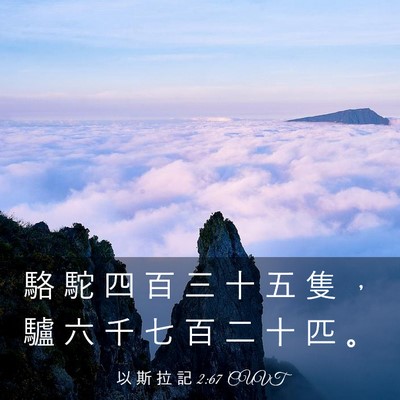 Picture 03 - 以 斯 拉 記 2:67 CUVT - 駱 駝 四 百 三 十 五 隻 ， 驢 六 千 - Bible Verse Picture