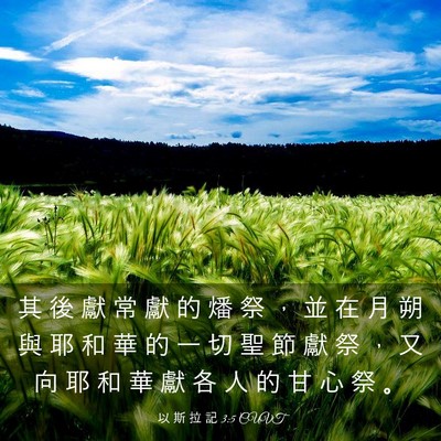 Picture 03 - 以 斯 拉 記 3:5 CUVT - 其 後 獻 常 獻 的 燔 祭 ， 並 在 月 - Bible Verse Picture