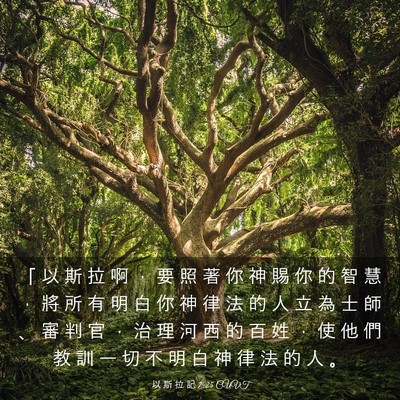Picture 03 - 以 斯 拉 記 7:25 CUVT - 「 以 斯 拉 啊 ， 要 照 著 你 神 賜 - Bible Verse Picture