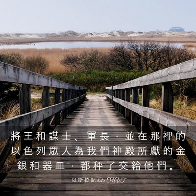 Picture 03 - 以 斯 拉 記 8:25 CUVT - 將 王 和 謀 士 、 軍 長 ， 並 在 那 - Bible Verse Picture