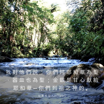 Picture 03 - 以 斯 拉 記 8:28 CUVT - 我 對 他 們 說 ： 你 們 歸 耶 和 華 - Bible Verse Picture