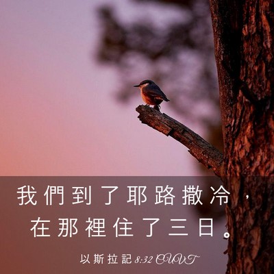 Picture 03 - 以 斯 拉 記 8:32 CUVT - 我 們 到 了 耶 路 撒 冷 ， 在 那 裡 - Bible Verse Picture