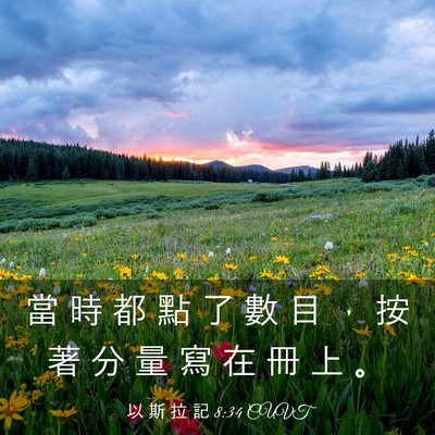 Picture 03 - 以 斯 拉 記 8:34 CUVT - 當 時 都 點 了 數 目 ， 按 著 分 量 - Bible Verse Picture