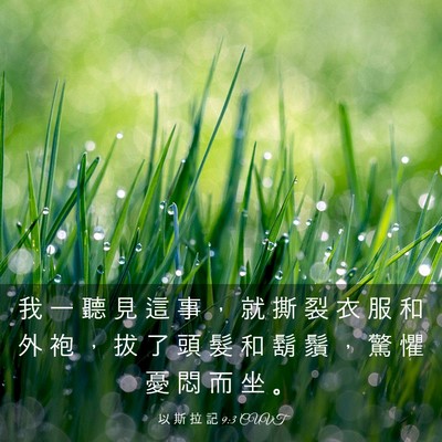 Picture 03 - 以 斯 拉 記 9:3 CUVT - 我 一 聽 見 這 事 ， 就 撕 裂 衣 服 - Bible Verse Picture
