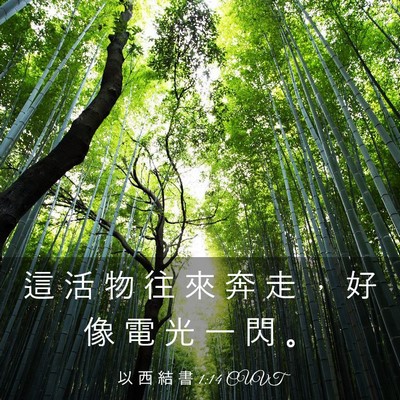Picture 03 - 以 西 結 書 1:14 CUVT - 這 活 物 往 來 奔 走 ， 好 像 電 光 - Bible Verse Picture