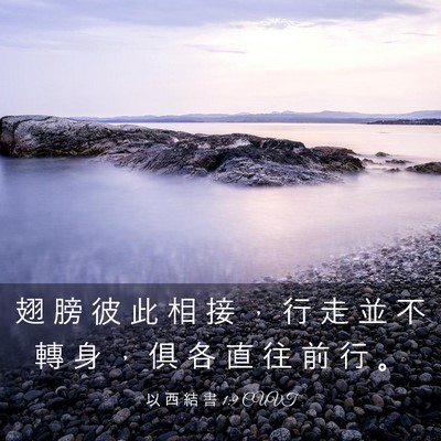 Picture 03 - 以 西 結 書 1:9 CUVT - 翅 膀 彼 此 相 接 ， 行 走 並 不 轉 - Bible Verse Picture